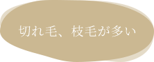 切れ毛、枝毛が多い